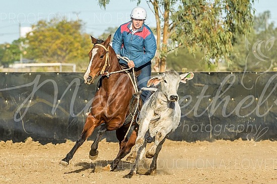 2019 Hughenden Campdraft