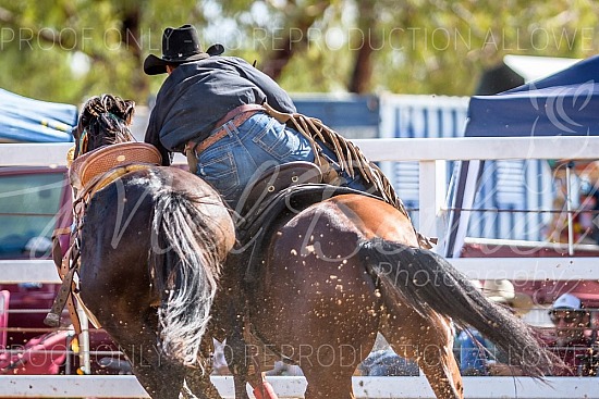 2019 Normanton Campdraft and Rodeo