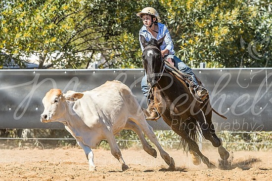 2019 Croydon Campdraft