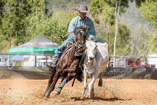 2019 Nugget of the North Campdraft