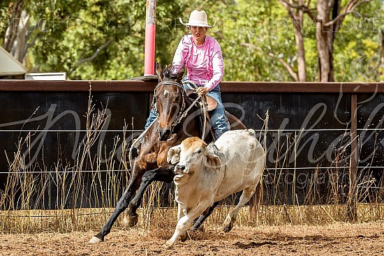 2019 Mount Surprise Campdraft