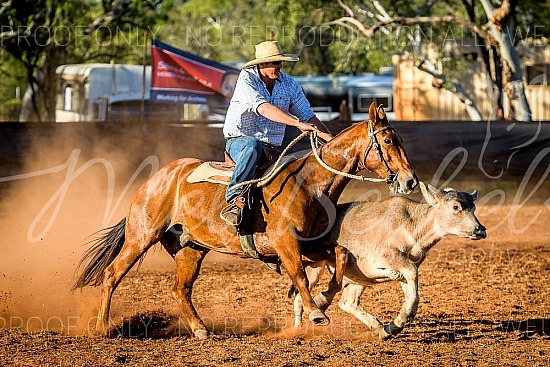 2018 Mataranka Campdraft