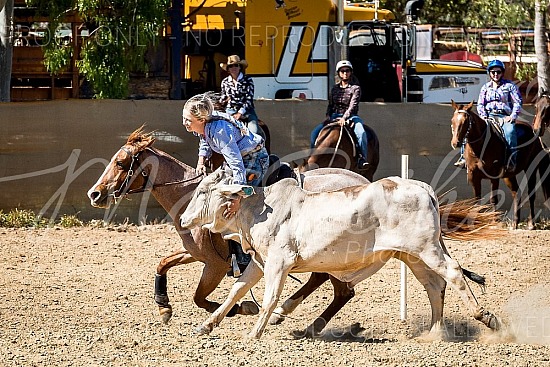 2020 Adelaide River Campdraft