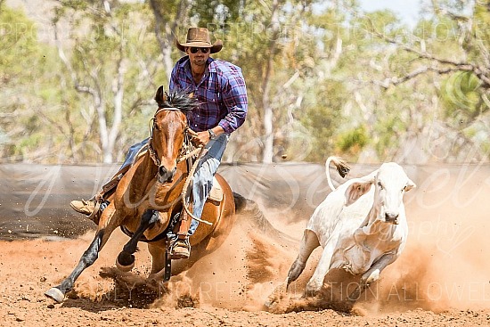 2020 Timber Creek Campdraft