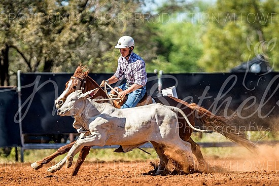 2024 DALY WATERS CAMPDRAFT