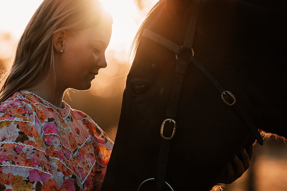 Equine Portrait Session | _MLB9305.jpg