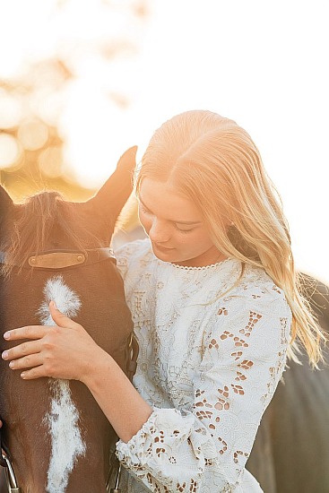Equine Portrait Session