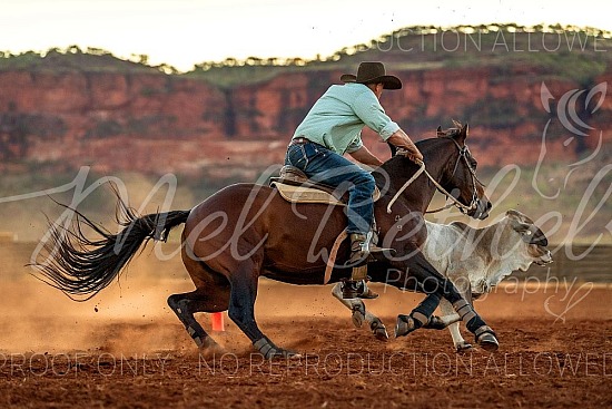 2024 Costello Yard Campdraft