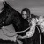 Equine Portrait Session | _MLB9437.jpg
