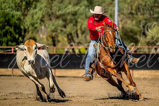 2024 Kununurra Campdraft