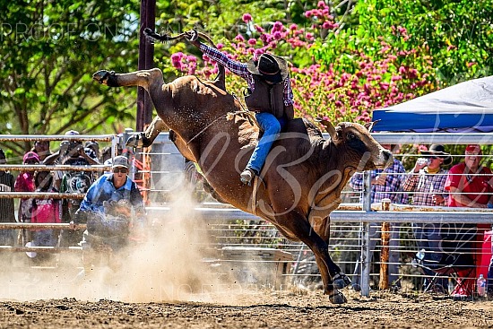 2024 Borroloola Rodeo 