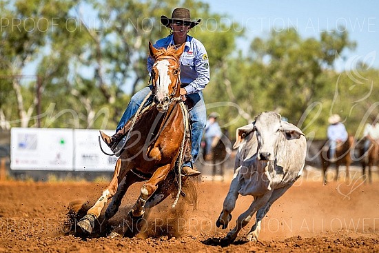 2024 Timber Creek Campdraft