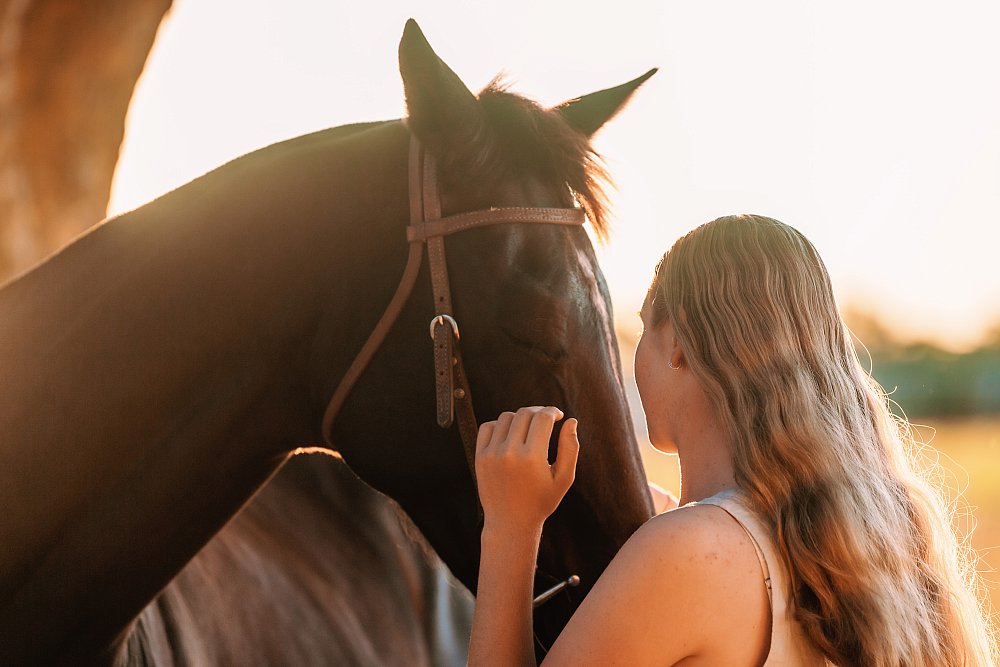 Equine Portrait Session | _MLB7282.jpg
