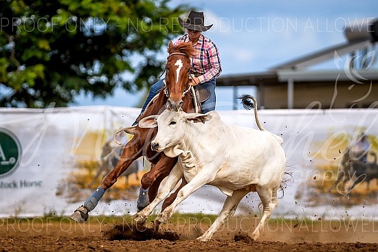 2025 Katherine ASHS Campdraft