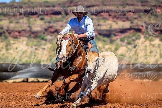 2025 Costello Yard Campdraft