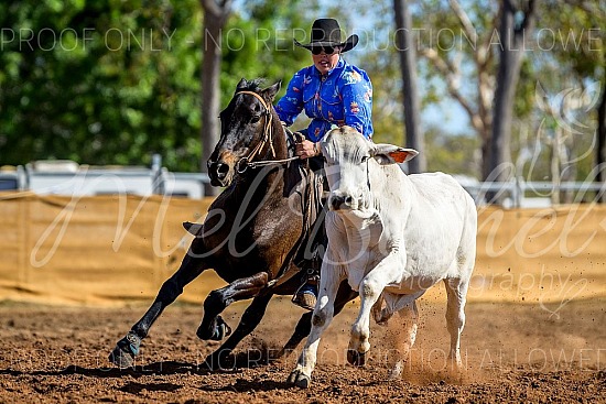 2025 Douglas Daly Campdraft