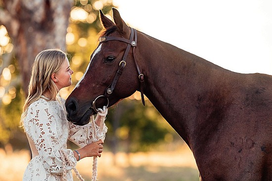 Equine Portrait Session