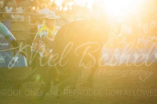 2026 Robbie Robins Rodeo - May