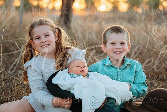 The Holcombe's